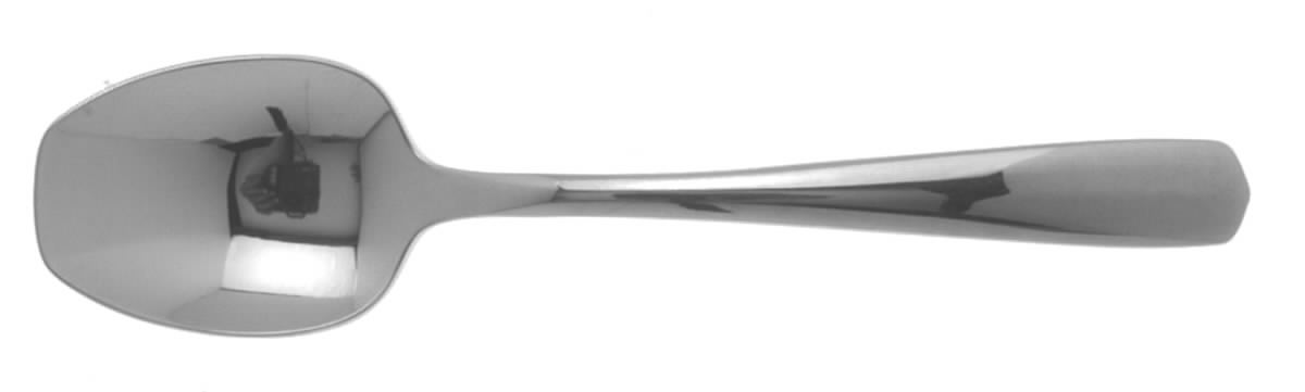 Equator (Stainless) Sugar Spoon by Oneida Silver-1