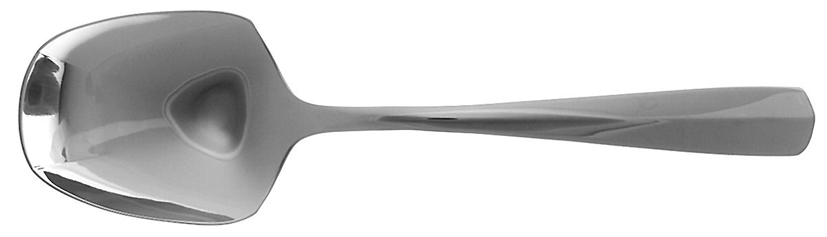 Equator (Stainless) Solid Smooth Casserole Spoon by Oneida Silver-1