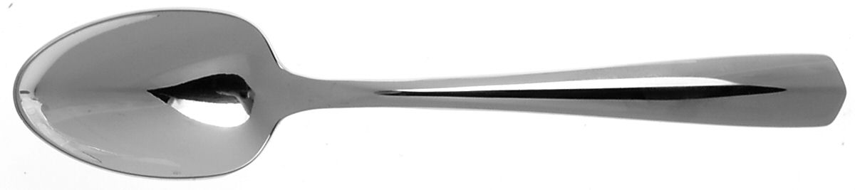 Equator (Stainless) Teaspoon by Oneida Silver-1