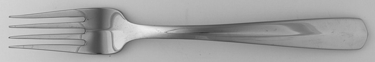 Equator (Stainless) European Fork by Oneida Silver-1