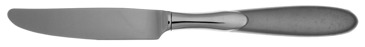Paradox (Stainless) Dessert Knife with Stainless Blade by Oneida Silver-1