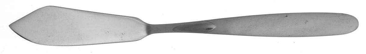 Paradox (Stainless) Flat Handle Master Butter Knife by Oneida Silver-1