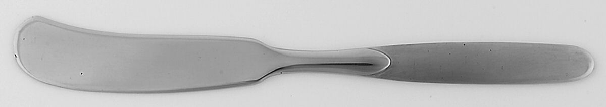 Paradox (Stainless) Flat Handle Butter Spreader by Oneida Silver-1