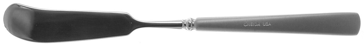 Satin Easton (Stainless) Flat Handle Butter Spreader by Oneida Silver-1