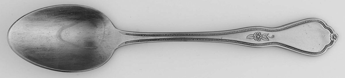 Morning Blossom (Stainless) Teaspoon by Oneida Silver-1