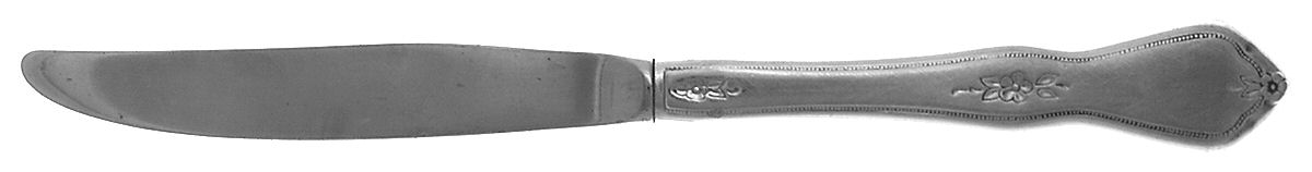 Morning Blossom (Stainless) Modern Hollow Knife by Oneida Silver-1