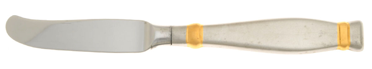 Satin Golden Kensington (Stainless) Butter Spreader Hollow Hdl-Paddle/Stainless Blade by Oneida Silver-1