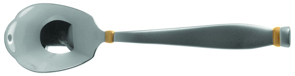 Satin Golden Kensington (Stainless) Sugar Shell Spoon by Oneida Silver-1