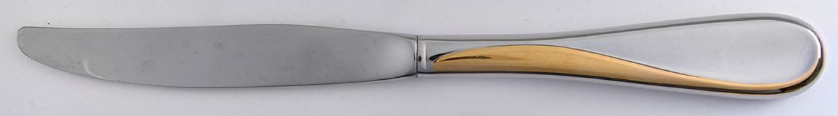 Golden Flight-Reliance  (Stainless) Modern Hollow Knife by Oneida Silver-1