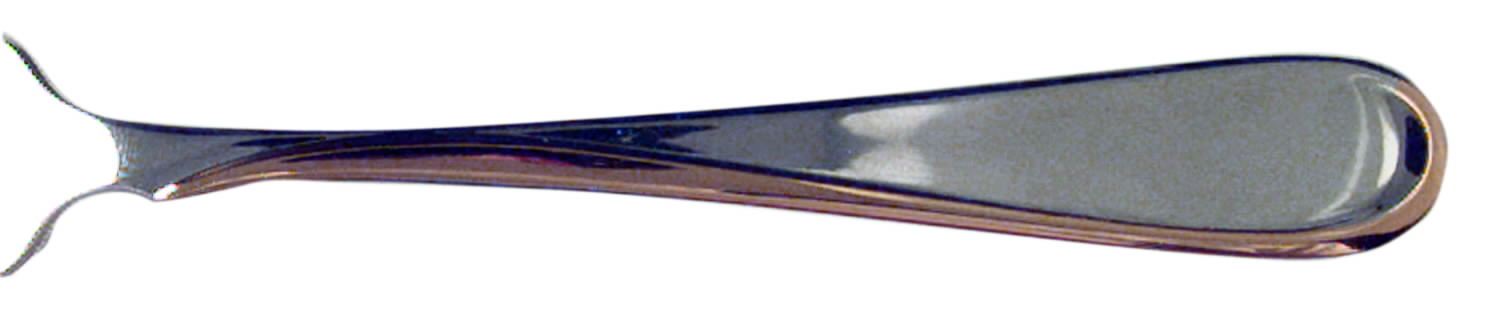 Golden Flight-Reliance  (Stainless) Fork by Oneida Silver-1