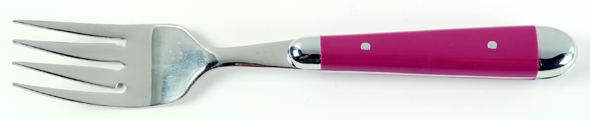 Palette-Cranberry (Stainless) Individual Salad Fork by Oneida Silver-1
