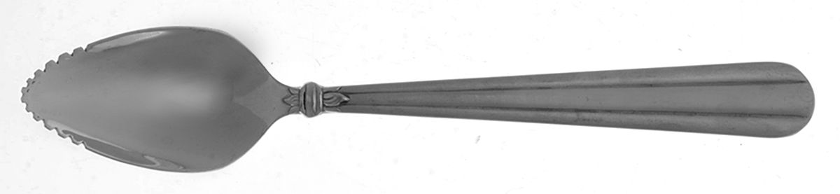 Tennyson-Frosted (Stainless) Fruit/Orange Spoon by Oneida Silver-1