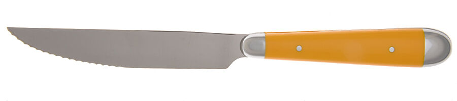 Palette-Yellow (Stainless) Individual Steak Knife Hollow Handle by Oneida Silver-1