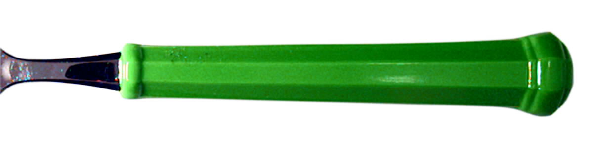 Leisureware-Green (Stainless) Fork by Oxford Hall-1