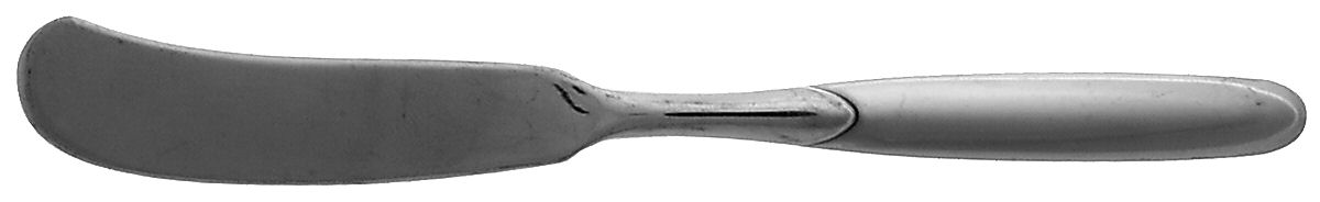 Paradox (Stainless) Flat Handle Butter Spreader by Oneida Silver-1