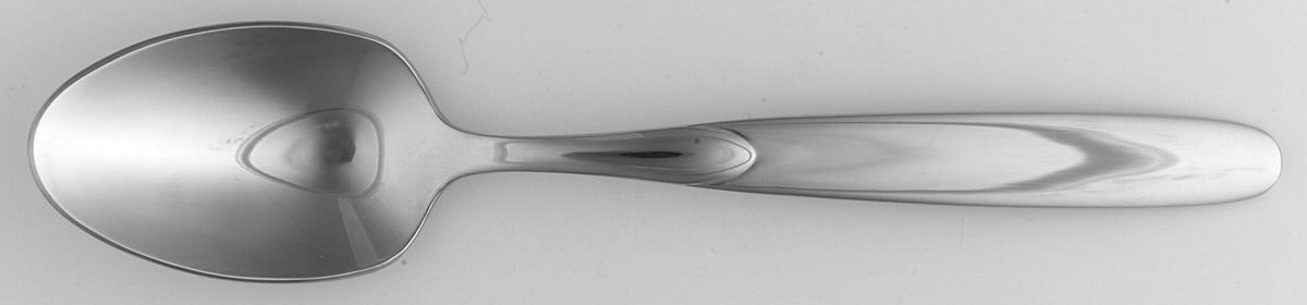 Paradox (Stainless) Teaspoon by Oneida Silver-1