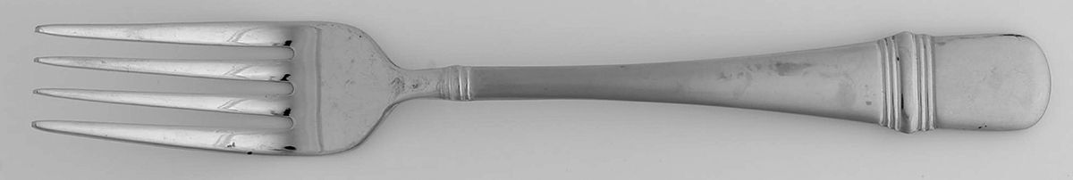 Satin Astragal (Stainless) Fork by Oneida Silver-1