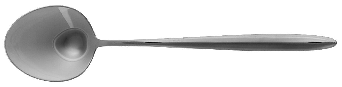 Essence (Stainless) Place/Oval Soup Spoon by Oneida Silver-1