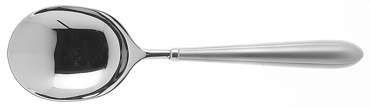 Spinelle (Stainless) Solid Smooth Casserole Spoon by Oneida Silver-1