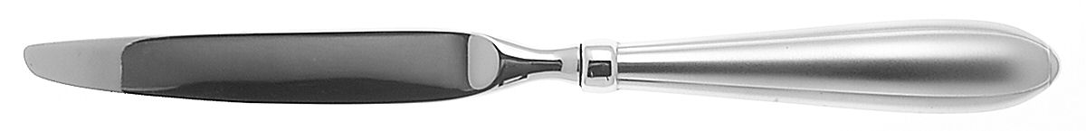 Spinelle (Stainless) Modern Hollow Knife by Oneida Silver-1