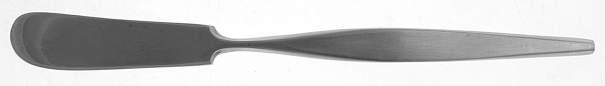 OHS182 (STAINLESS) Flat Handle Butter Spreader by Oneida Silver-1