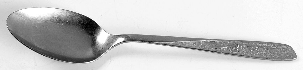 Sweet Briar (Stainless, Textured) Tablespoon (Serving Spoon) by Oneida Silver-1