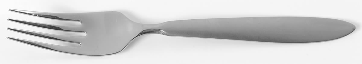 Emery (Stainless) Fork by Oneida Silver-1