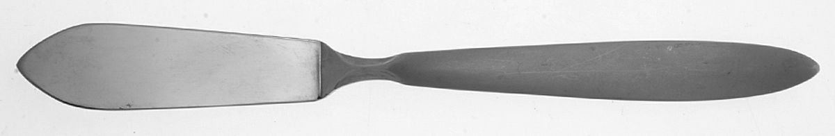 Emery (Stainless) Flat Handle Master Butter Knife by Oneida Silver-1