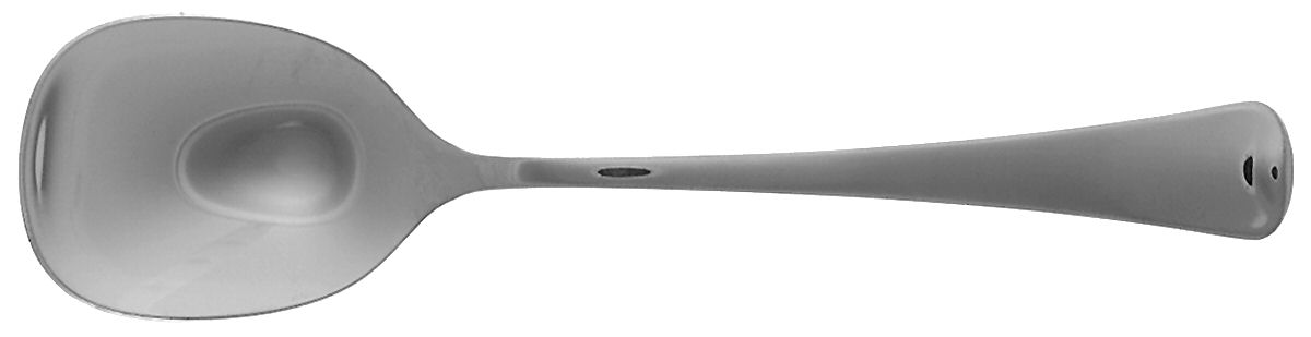 Distinction (Stainless, No Wings, Glossy) Sugar Spoon by Oneida Silver-1