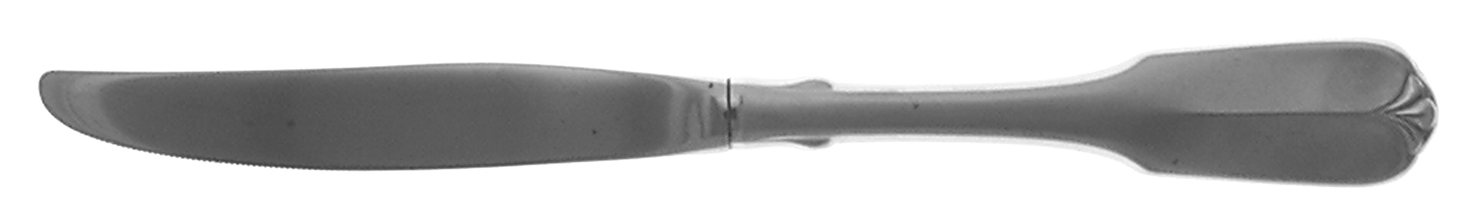 Satin Gloria (Stainless) Modern Hollow Knife by Oneida Silver-1