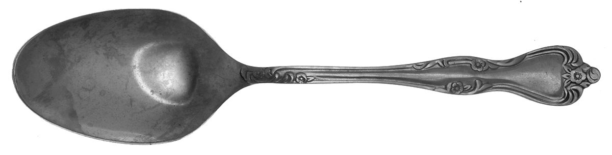 Azalea (Stainless) Tablespoon (Serving Spoon) by Oneida Silver-1