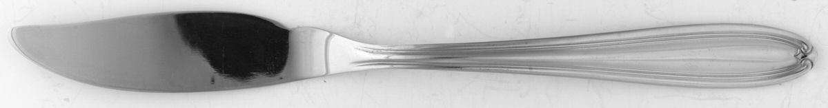 OHS196 (STAINLESS) Individual Solid Fish Knife by Oneida Silver-1