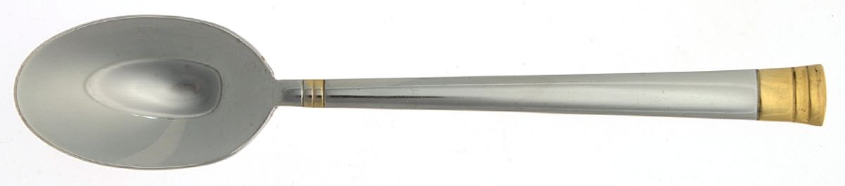 Golden Sunnybrook (Stainless, Gold Accent) Teaspoon by Oneida Silver-1