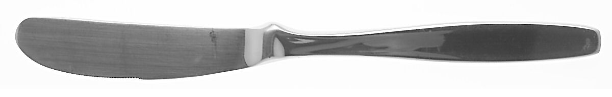 Pinch (Stainless) Modern Solid Knife by Oneida Silver-1