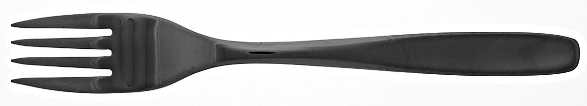 Pinch (Stainless) Fork by Oneida Silver-1