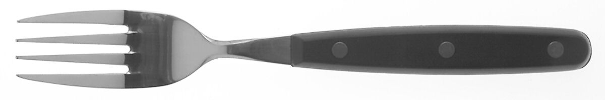 Color Trends-Black (Stainless, Plastic) Fork by Oneida Silver-1