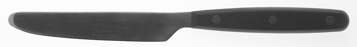 Color Trends-Black (Stainless, Plastic) New French Hollow Knife by Oneida Silver-1