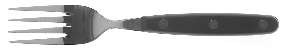 Color Trends-Black (Stainless, Plastic) Individual Salad Fork by Oneida Silver-1