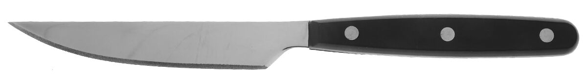 Color Trends-Hunter Green (Stainless, Plastic) Steak Knife Individual Hollow, No Serrate HC by Oneida Silver-1