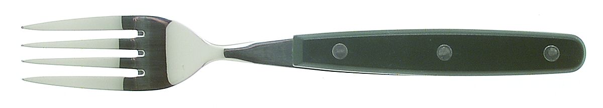 Color Trends-Hunter Green (Stainless, Plastic) Fork by Oneida Silver-1
