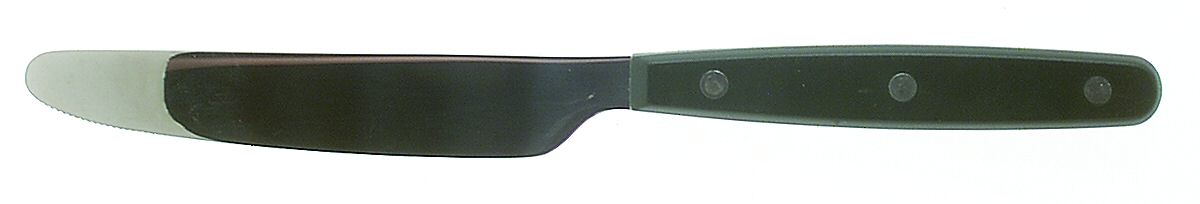 Color Trends-Hunter Green (Stainless, Plastic) New French Hollow Knife by Oneida Silver-1