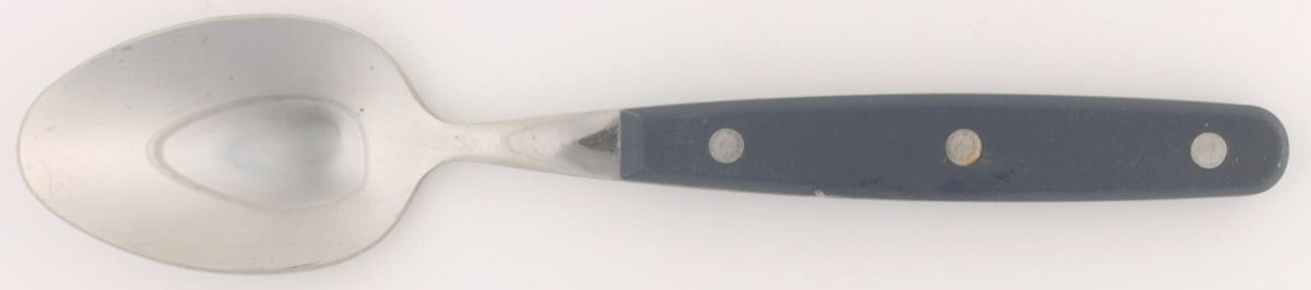 Color Trends-Navy (Stainless, Plastic) Place/Oval Soup Spoon by Oneida Silver-1