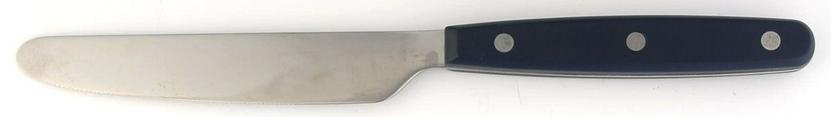 Color Trends-Navy (Stainless, Plastic) New French Hollow Knife by Oneida Silver-1