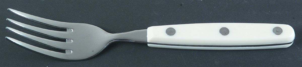 Color Trends-White (Stainless, Plastic) Individual Salad Fork by Oneida Silver-1
