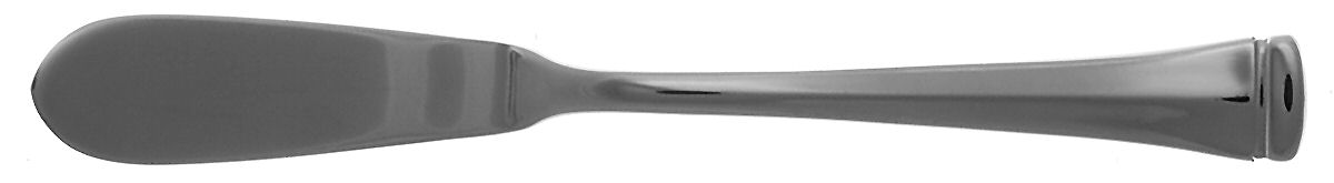 Dorchester (Stainless) Flat Handle Master Butter Knife by Oneida Silver-1