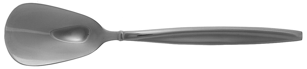 Sweep (Stainless) Sugar Spoon by Oneida Silver-1