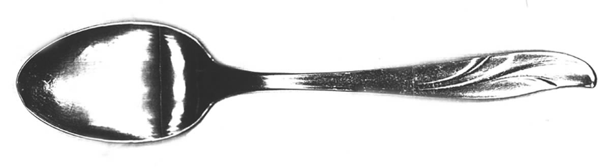 OHS223 (Stainless) Place/Oval Soup Spoon by Oneida Silver-1