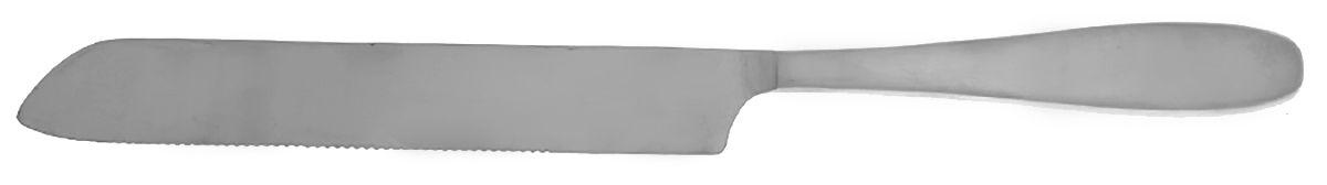 Stafford (Stainless) Large Solid Piece Cake Knife by Oneida Silver-1