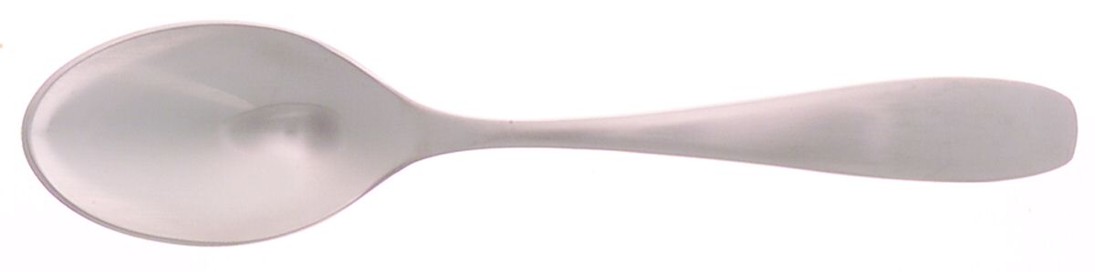 Stafford (Stainless) Teaspoon by Oneida Silver-1