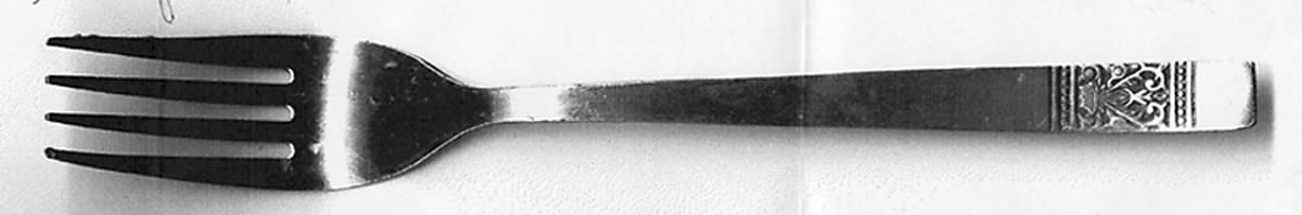 ORL60 (Stainless) Fork by Orleans-1